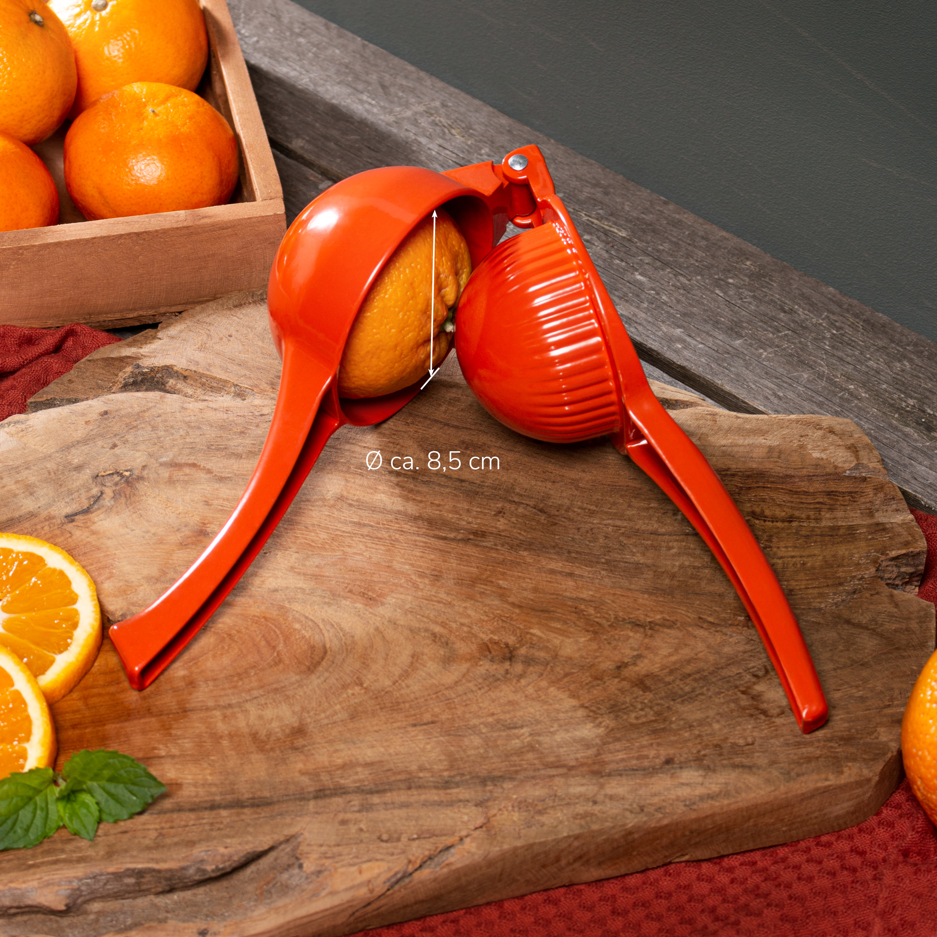 Zitruspressen-Set 3tlg / für Orangen, Zitronen und Limetten aus Zink
