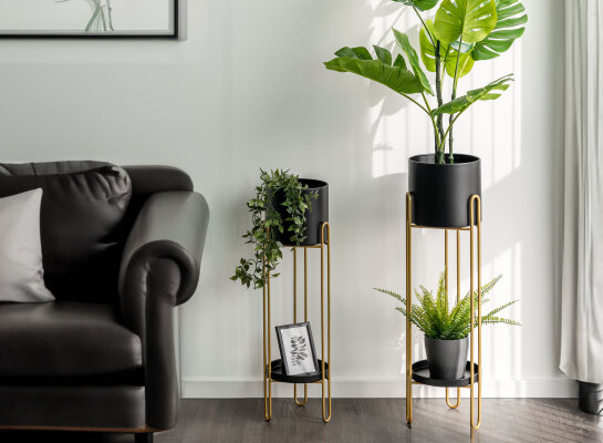 Urban Jungle: Dekoriere deinen Raum mit Zimmerpflanzen und diesen Ideen! - ein beliebter Trend - Urban Jungle: Dekoriere deinen Raum mit Zimmerpflanzen und diesen Ideen! - ein beliebter Trend