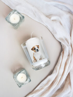 DIY-Motivwindlichter: Selbstgemachte Deko &amp; Geschenkidee - DIY-Motivwindlichter selber machen – Kreative Deko &amp; persönliche Geschenkidee