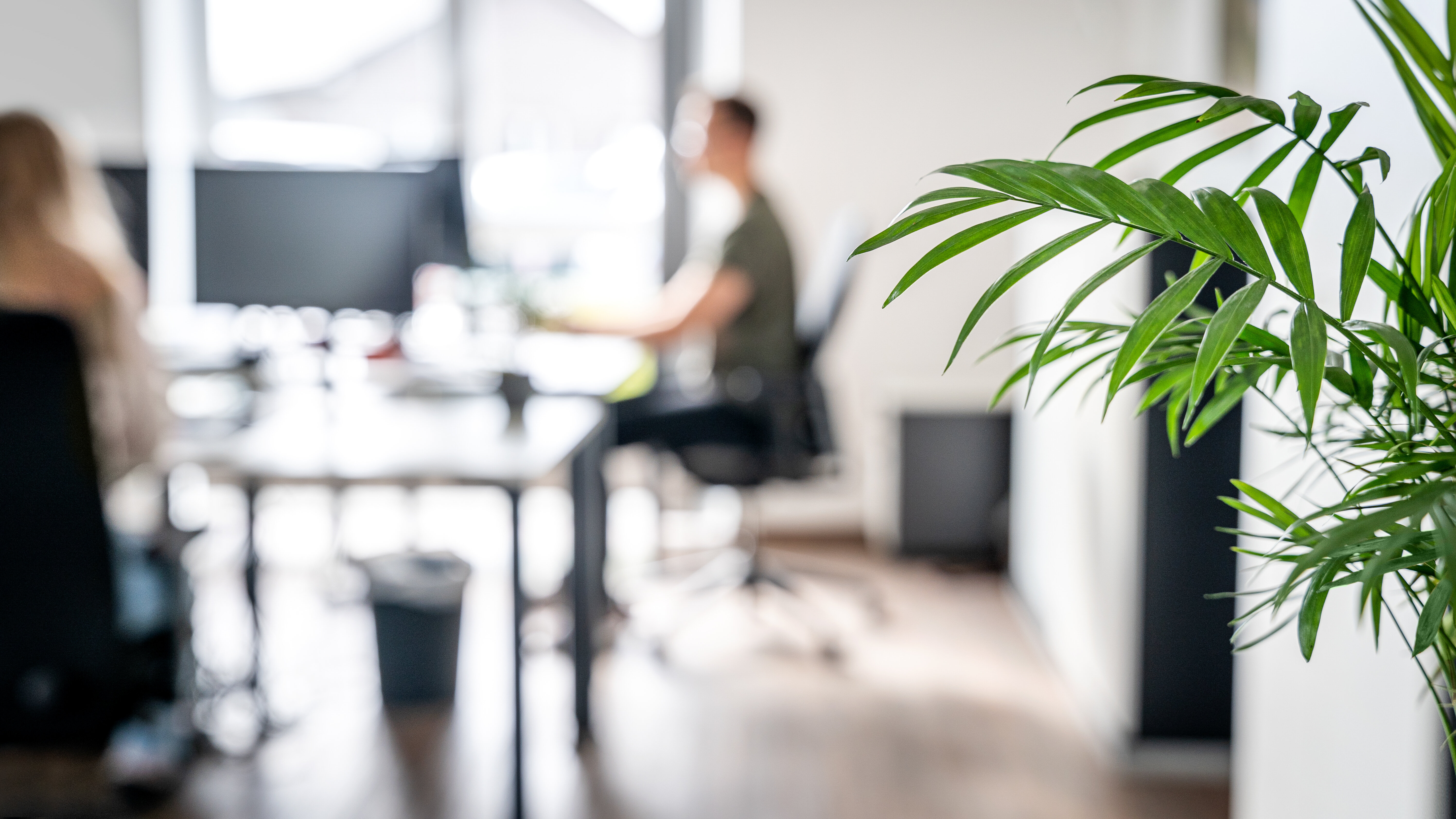 Im Vordergrund ist ein grüner Pflanzenzweig zu sehen. Im Hintergrund sind unscharf zwei Personen in einem modernen Büro, eine sitzt am Schreibtisch und eine steht.