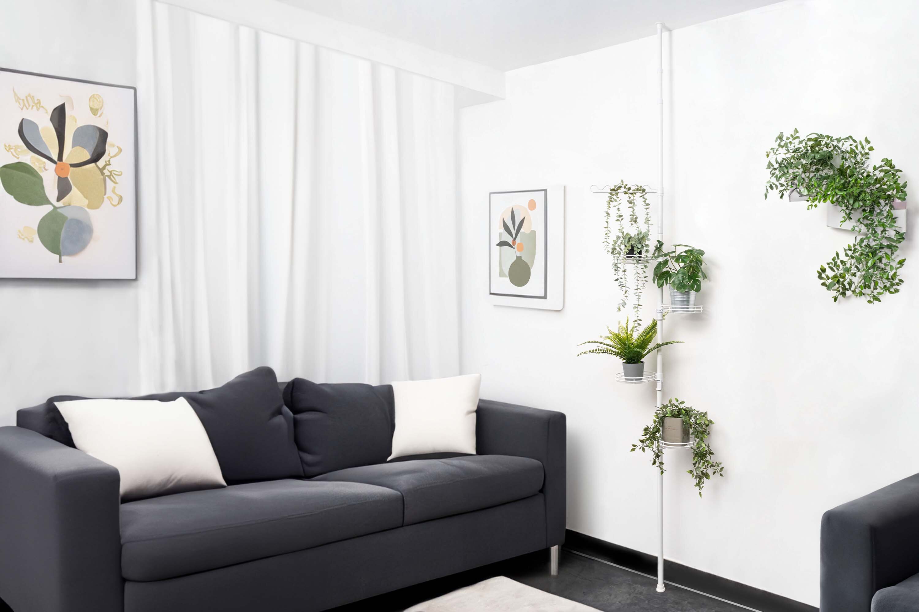 Ein Wohnzimmer mit einem grauen Sofa, einem weichen Teppich und mehreren Pflanzen auf einem weißen Teleskopblumenregal arrangiert.