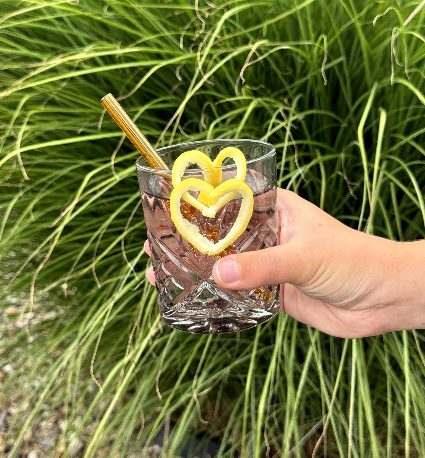 Ein Hand hält ein Glas mit Wasser und zwei herzförmigen Zitronenscheiben. Im Hintergrund sind grüne, grasartige Pflanzen sichtbar.