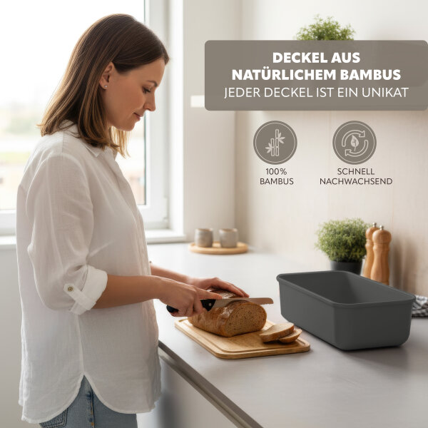 winterharter bambus kaufen Schirmbambus Fargesia rufa Zimmerpflanze 19cm 60cm kaufen
