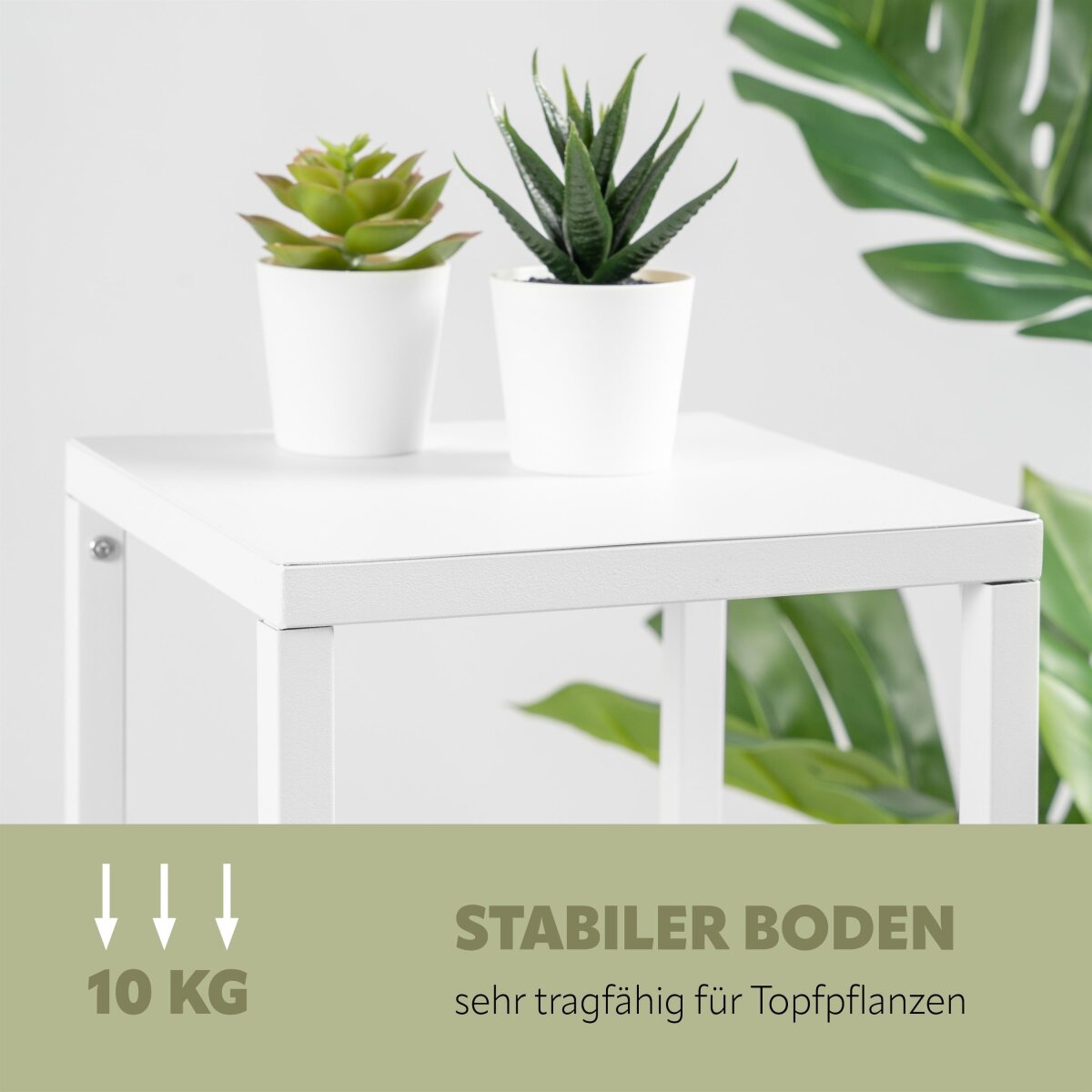 Blumenhocker 3er Set, 58,99 €