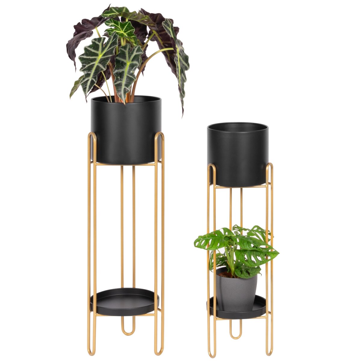 Blumenhocker 2er Set, 57,99