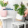 Blumenhocker 4er Set