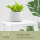 Blumenhocker