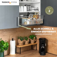 Korbauszug 50 cm 2er Set